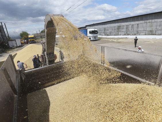 Noodkreet Afrika niet negeren