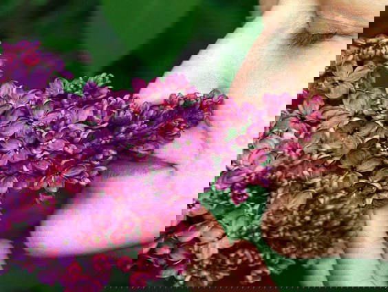 Neuswijzer, geuratlas van de lage landen