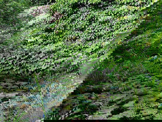 Zo maak je van jouw tuin een spons