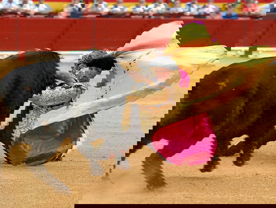 Vlees van gedode Spaanse stier kan in de Nederlandse schappen belanden