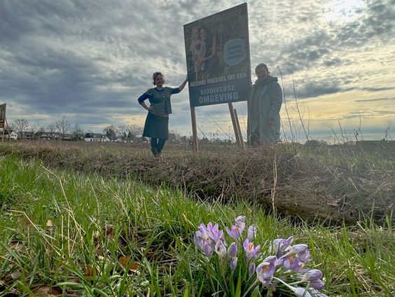 Zelfoogsttuin Wortels in Breda moet wijken