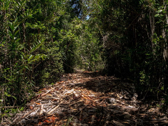 Hoe bijzonder is de Madame Berthe Muismaki?