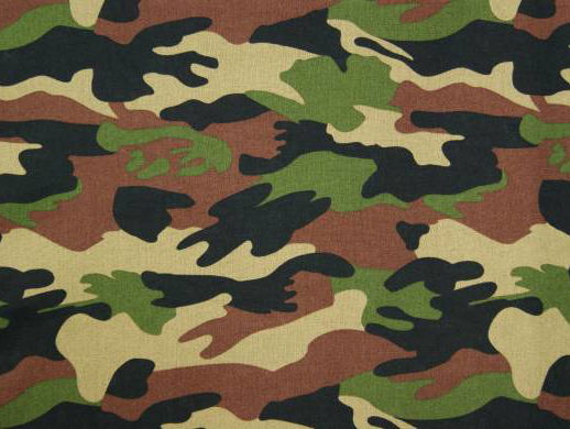 Een dienjaar bij Defensie