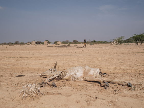 Afrikaanse landen bezorgd om klimaatverandering