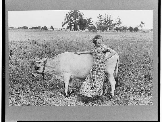 1e uur: omstreden onderzoek kennis van Holocaust, duurzame boer OVT 29-01-2023