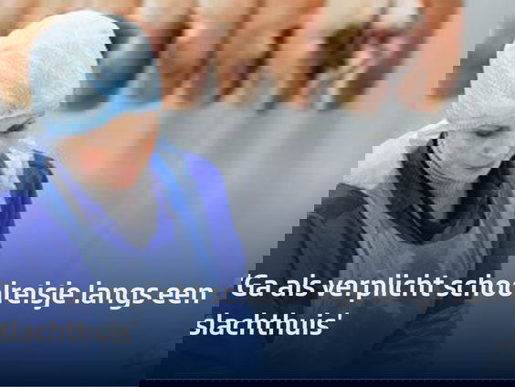 'Ga als verplicht schoolreisje langs een slachthuis'