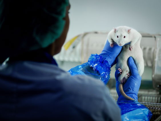 Proeven met dieren: is er een alternatief?