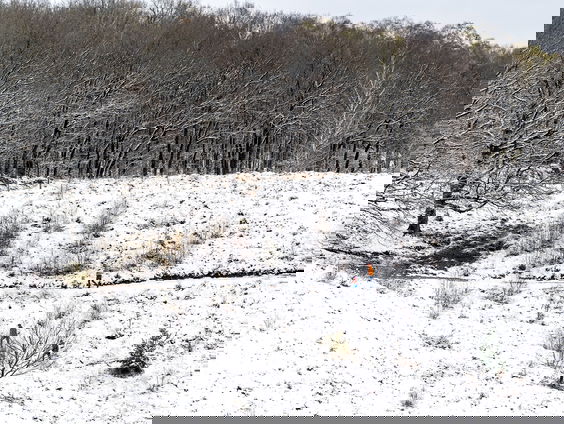 Meer dan duizend graven uit prehistorie gevonden