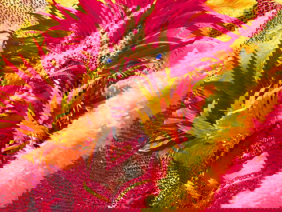 Afiah Vijlbrief over het bubbling verbod op het Rotterdamse Zomercarnaval