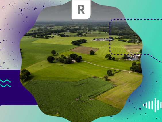 Het Gelderse stikstofdebat: De oplossingen