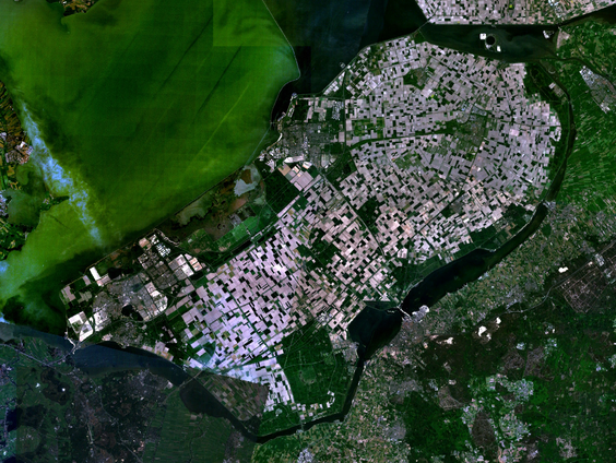 De Flevopolder blijkt een kerkhof van scheepsverhalen