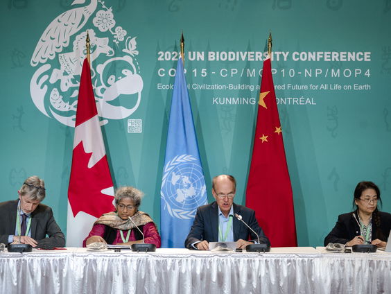 Komt er een wereldwijd akkoord over bescherming biodiversiteit?