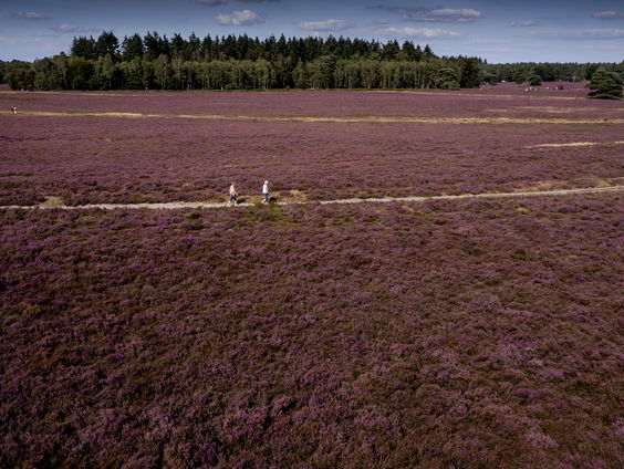 Planbureau voor Leefomgeving publiceert "Klimaat- en Energieverkenning"