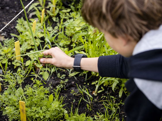 De week van de schooltuin