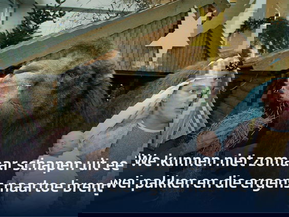 Is de kerststal met levende dieren nog wel van deze tijd?