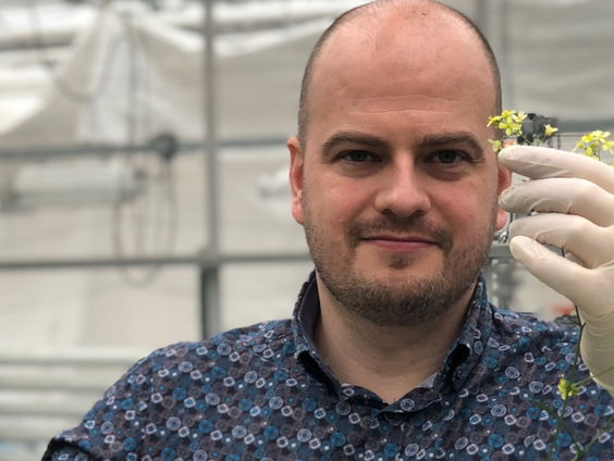 Mijnbouw met behulp van plantjes