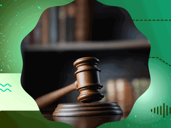 Politieke invloed op de rechtspraak