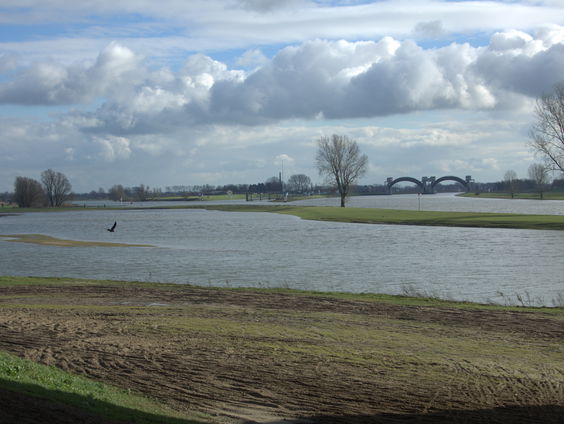 'De Lek'; een aangrijpend lied over te jong je vader verliezen