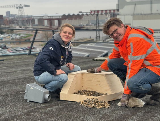 Door deze nestkast minder meeuwenoverlast