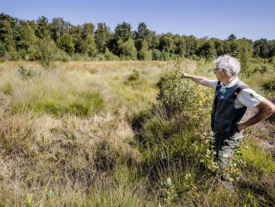 Stand.nl: We moeten onze bossen beter beschermen