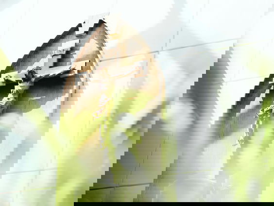 Waarom is de Stille Week stil? Theoloog Frank Bosman legt het uit