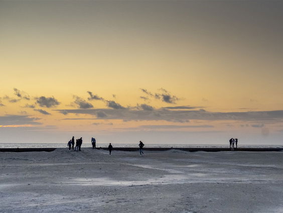 Weer een dikkopschildpad aangespoeld en opgevangen in Diergaarde Blijdorp