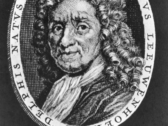 Wat zag Antoni van Leeuwenhoek?