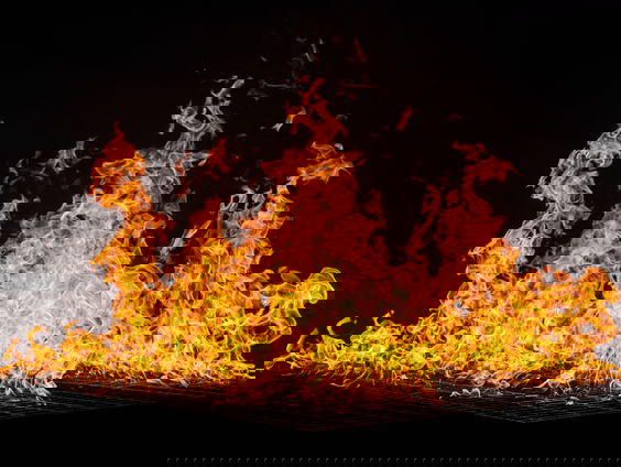 Natuur op Rhodos zal jaren moeten herstellen van de natuurbranden