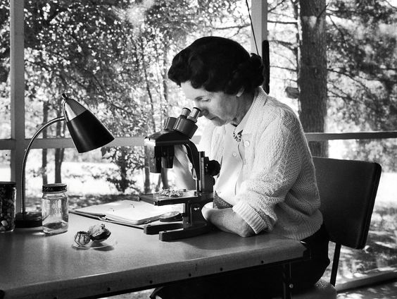 Anouk van Mil over wetenschapper en bioloog Rachel Carson