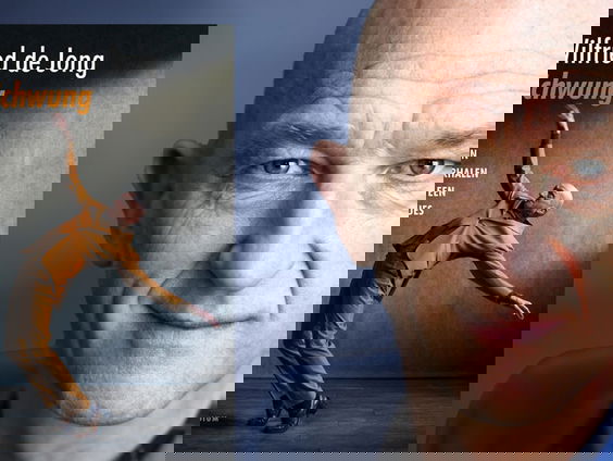 'Schwung': Tien verhalen en een blues opgeschreven door Wilfried de Jong