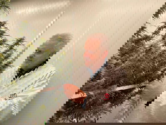 De wietproef is uitgesteld en daarom leidt deze teler een half miljoen verlies per maand