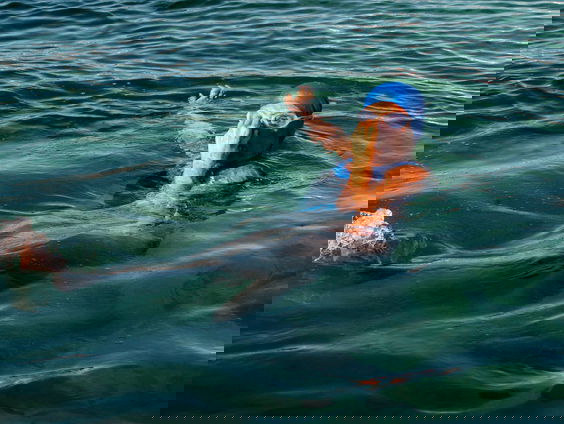 Haaienkooien, onderkoeling én oververhitting: een duik in de fascinerende wereld van het openwaterzwemmen