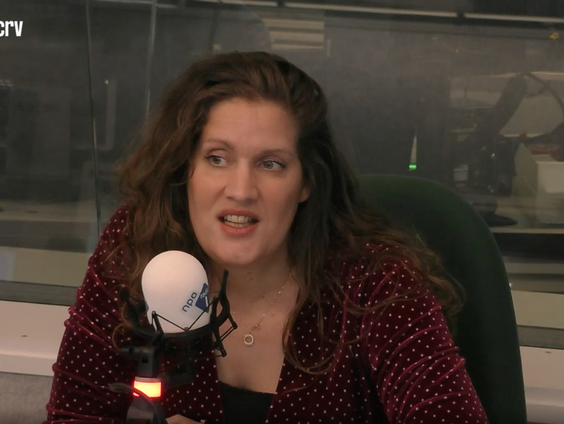 De Taalschatten: Anne Eekhout over Hannes Meinkema