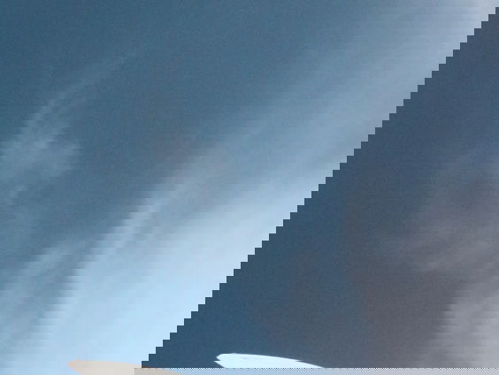 Maarten 't Hart over 250 jaar psalmenberijming