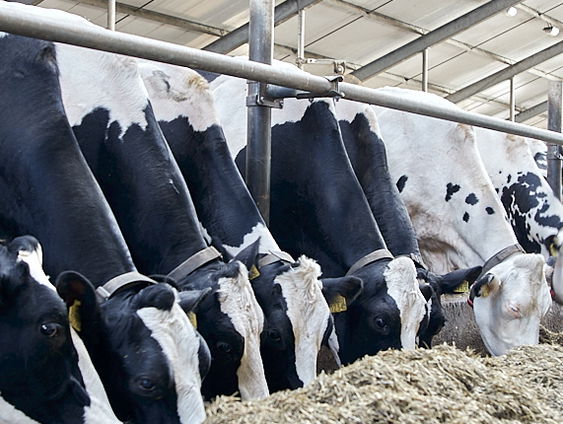 Trots op het boerenproduct