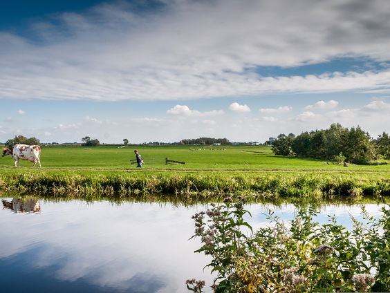 Reacties uit De Peel op het Remkes rapport
