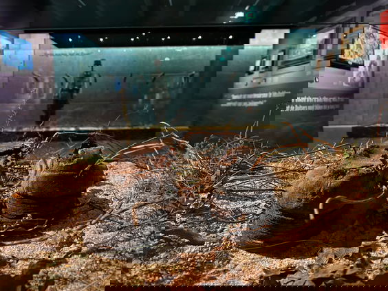 Kamp Amersfoort speelde belangrijke rol in kwalijke executies tijdens Tweede Wereldoorlog