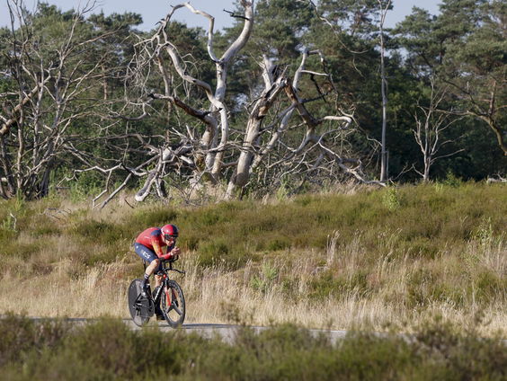 Natuurmonumenten: geen NK wielrennen op Posbank vanwege kwetsbare vogels