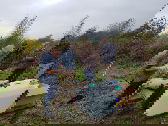 Peter Klaver over de inzet van varkens bij berenklauwen