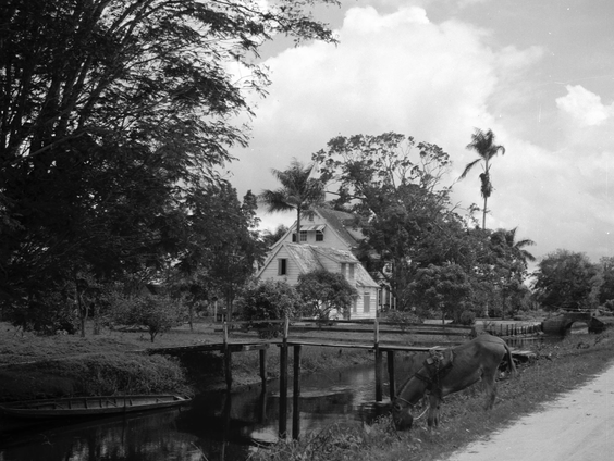 Tussen de regels: verhalen opgediept uit het slavenregister