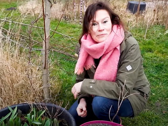 Column Katja Staring: bijen en mijn bikini