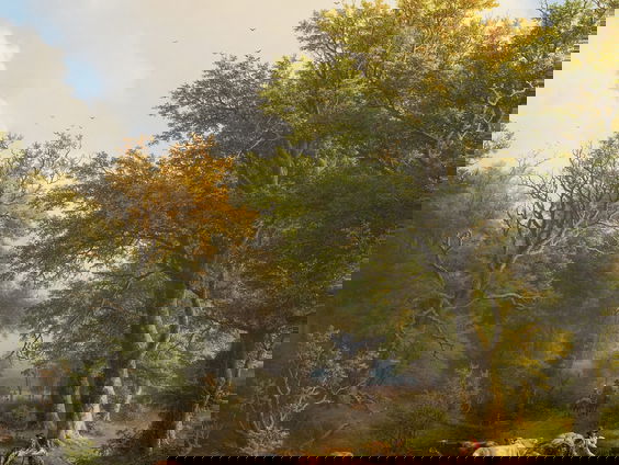 Koekkoek: meester van de bomenkunst