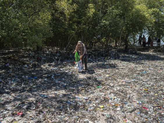 Mathew Maged Welson over World CleanUp Day