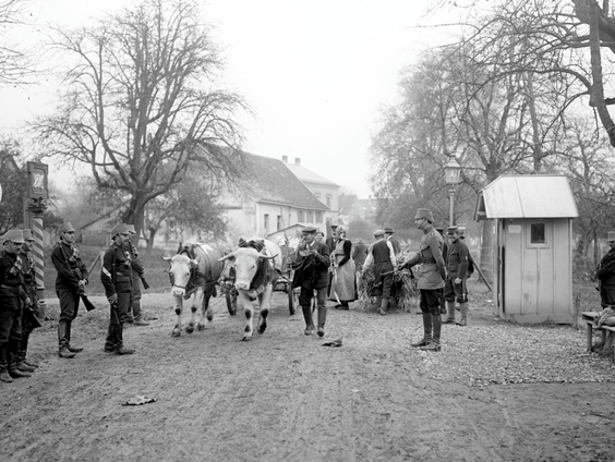 Spanningen rond de Suwałki-corridor