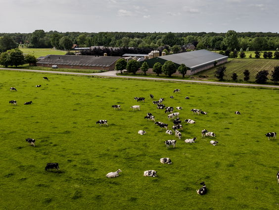 Kabinet wil 'stopbonus' voor boeren