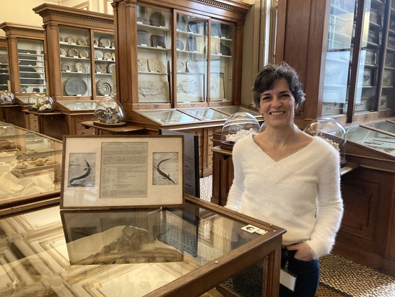 Waarom zien we soms de maan overdag?