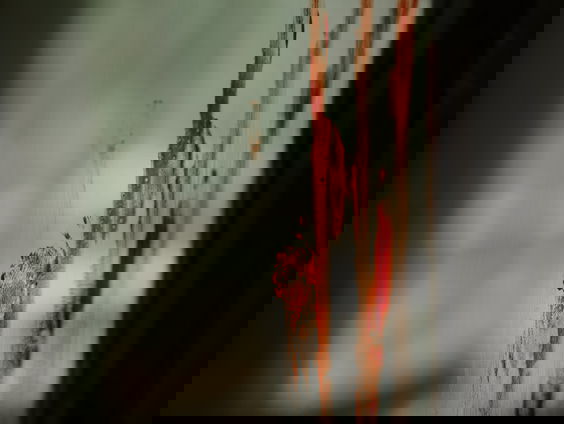 Net echt: mini-college filmbloed