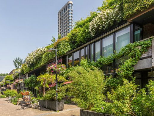 Mensen, natuur en toekomst met elkaar verbinden via wetenschap