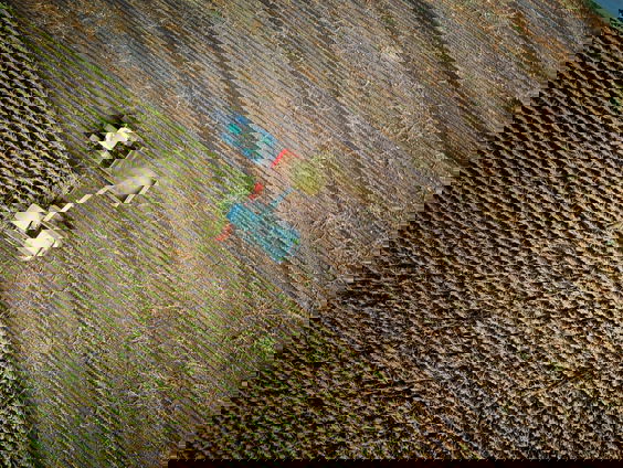 De macht van de lobby voor landbouwgif in Brussel