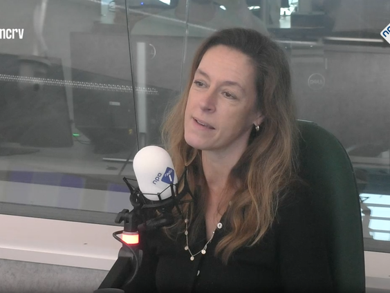 De Taalschatten: Mirjam van Hengel over Remco Campert